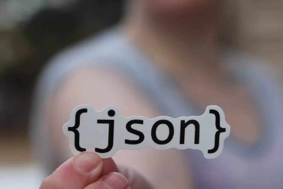 JSON veri formatını gösteren bir görsel
