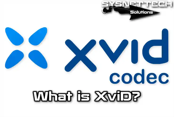 XviD Definition and Features